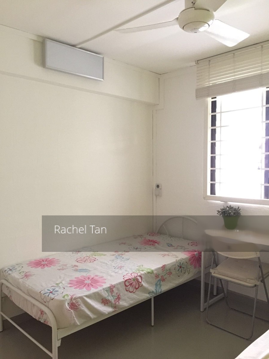 Blk 163 Stirling Road (Queenstown), HDB 3 Rooms #155183172